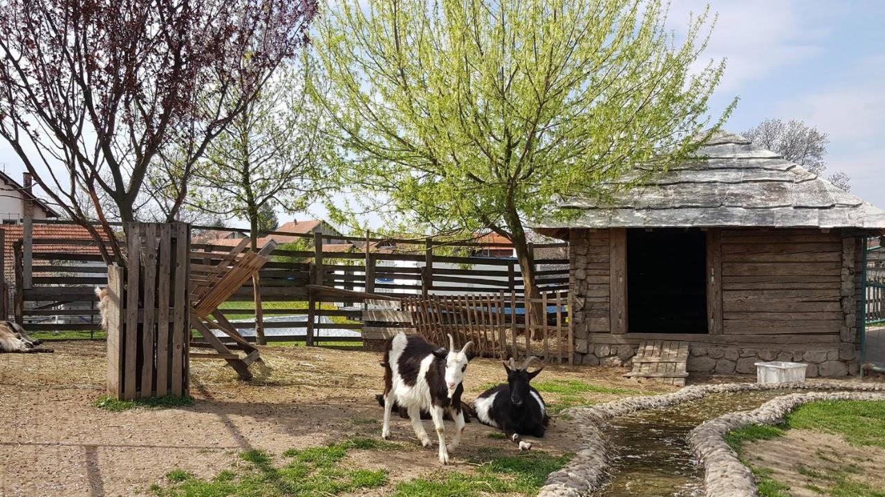 Ethno Village Stanisici Bijeljina Exteriör bild