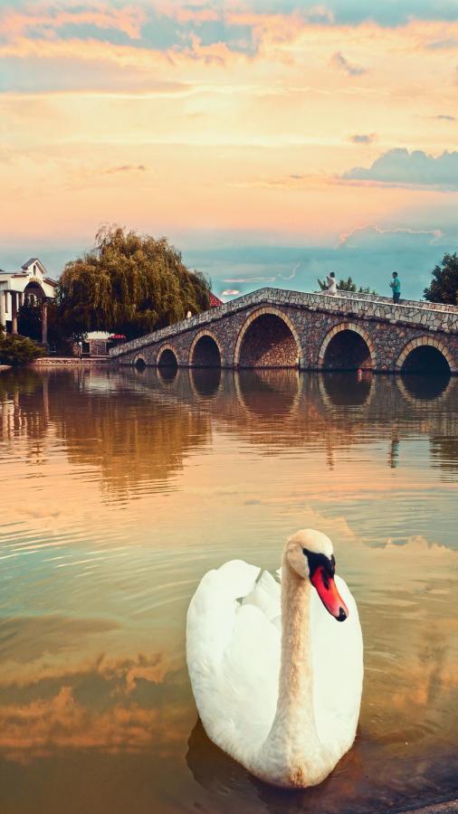 Ethno Village Stanisici Bijeljina Exteriör bild